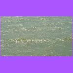 Waves In Buckeye Lake.jpg